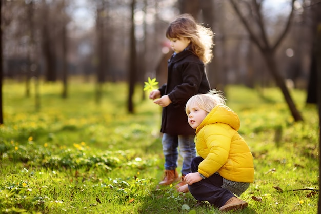 Piccoli bambini svegli che giocano insieme nel parco soleggiato della molla