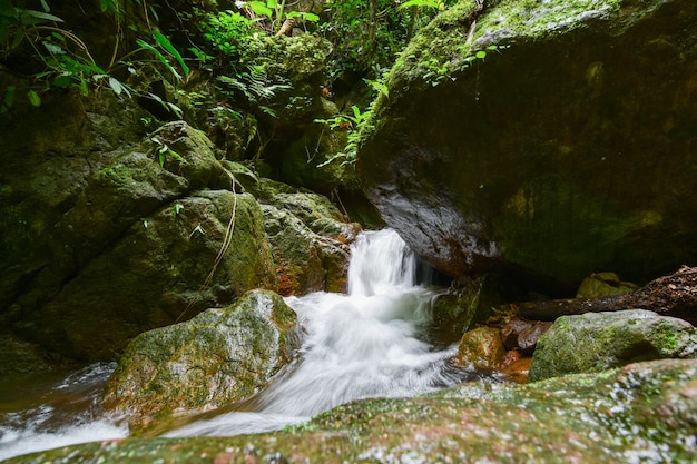 Piccoli corsi d&#39;acqua nella valle.