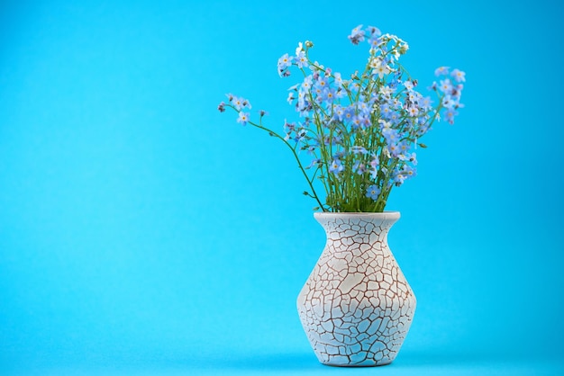 Piccoli fiori blu in vaso su sfondo colorato Gambo sottile piccoli fiori delicati Small DOF