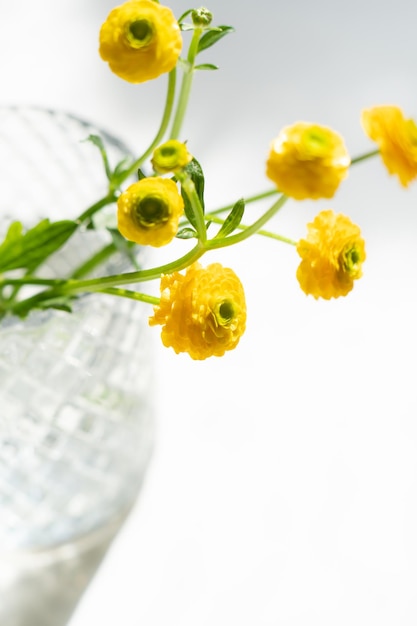 Piccoli fiori gialli di ranuncoli in vaso di vetro