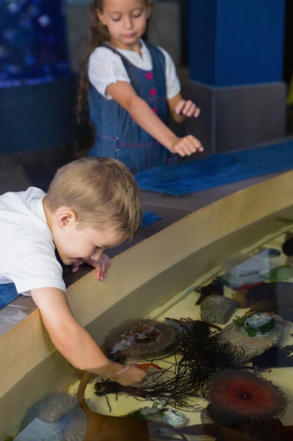 Piccoli fratelli guardando serbatoio di pesce