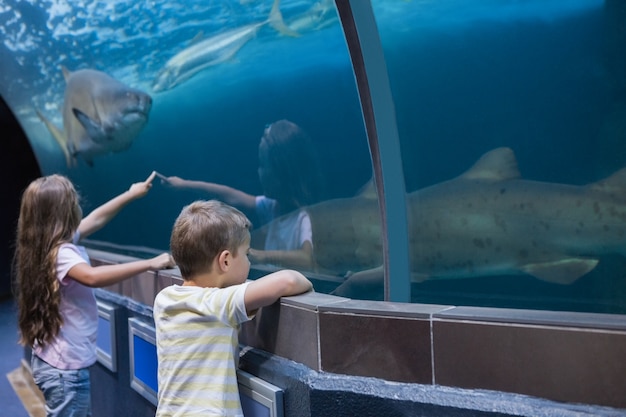 Piccoli fratelli guardando serbatoio di pesce