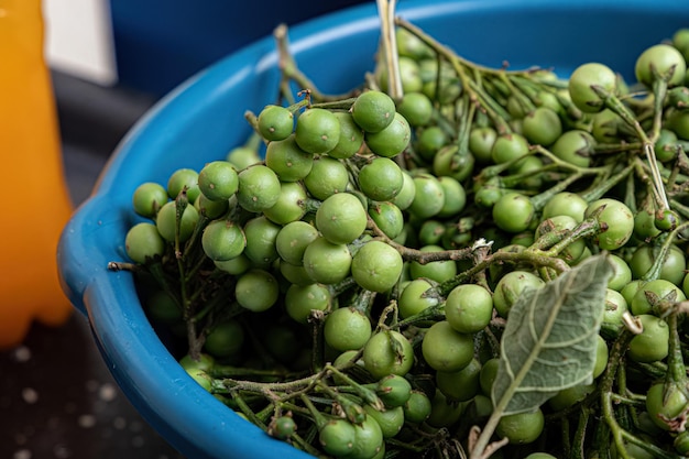 Piccoli frutti verdi di jurubeba