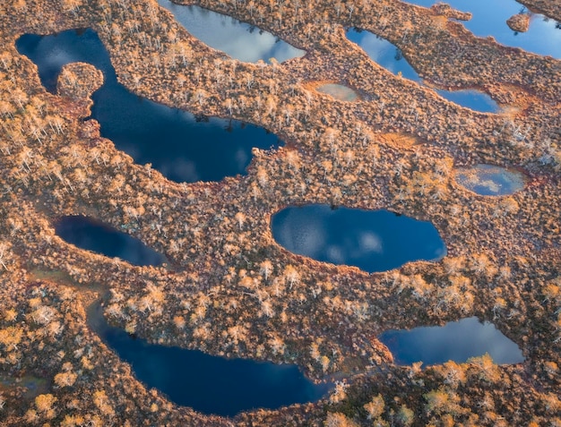 Piccoli laghi con acqua blu nella palude autunnale vista dall'alto