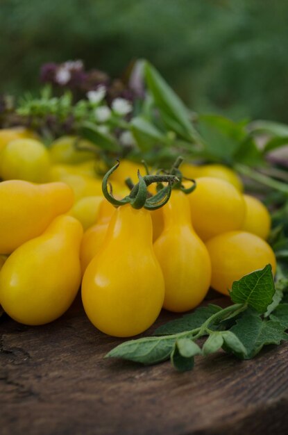 Piccoli pomodori gialli su sfondo di legno Closeup immagine di pomodori pera gialli