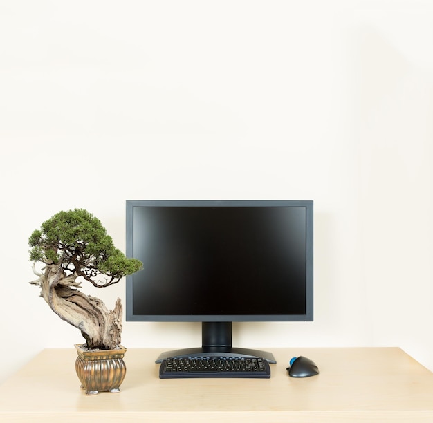 Piccolo albero di bonsai su semplice scrivania da ufficio con monitor