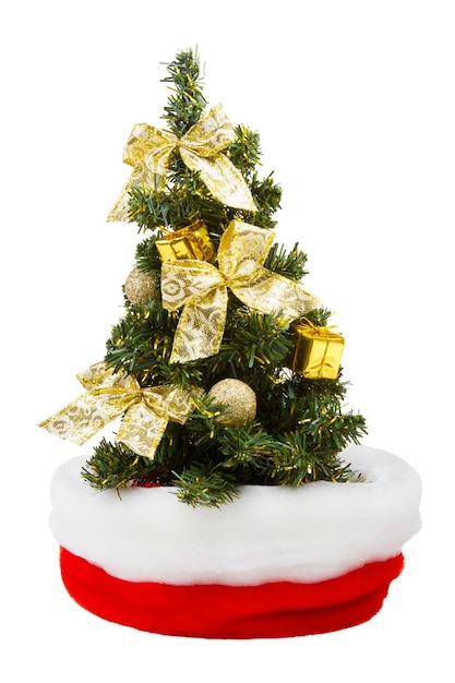 Piccolo albero di Natale in cappello di Babbo Natale