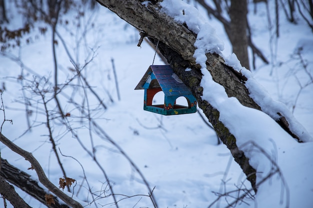 Piccolo aviario di legno sull'albero nella foresta