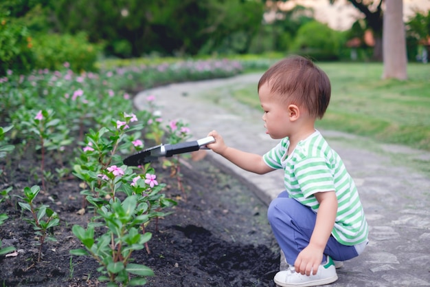 Piccolo bambino asiatico sveglio del ragazzo del bambino che pianta giovane albero su suolo nero nel giardino verde al tramonto