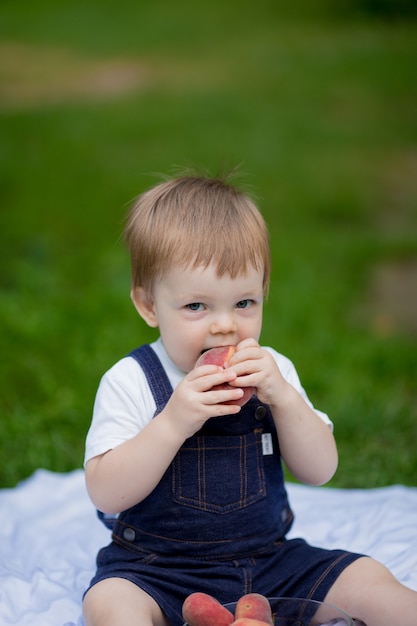 Piccolo bambino del ragazzo che si siede nel parco e che mangia una pesca