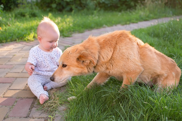 Piccolo bambino e cane in giardino Piccolo bambino biondo che si diverte all'aperto con il suo animale domestico