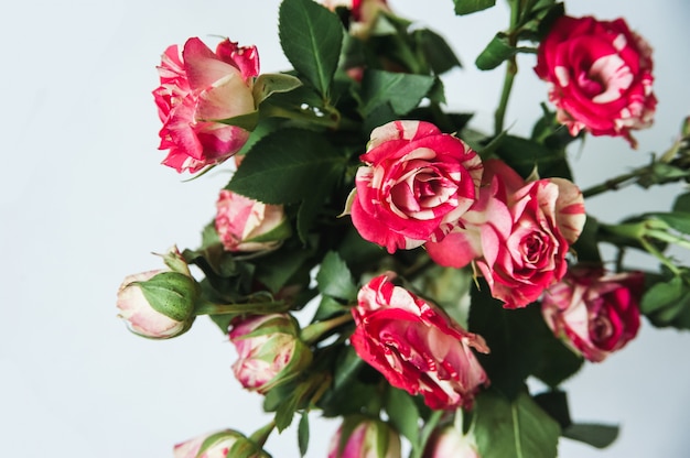 Piccolo bouquet di rose spray vista dall'alto