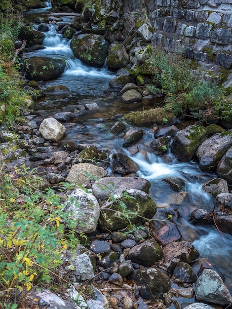 Piccolo canale nella foresta in Germania