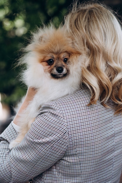 Piccolo cane lanuginoso rosso Pomeranian Spitz tra le braccia della sua padrona per passeggiare.