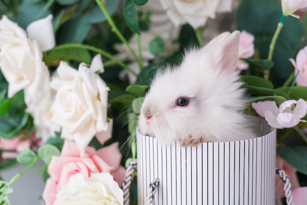 Piccolo coniglio in un cesto su uno sfondo di fiori. Coniglietto di Pasqua birichino