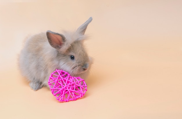 Piccolo coniglio sveglio su chiaro fondo Concetto di pasqua di festa.