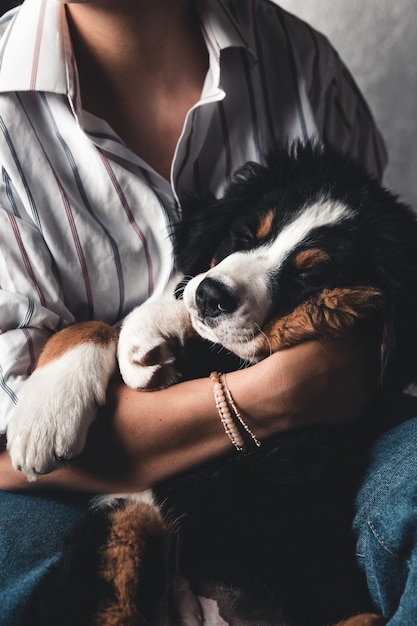 Piccolo cucciolo di Bovaro del Bernese sulle mani della ragazza alla moda con una bella manicure. animali, moda