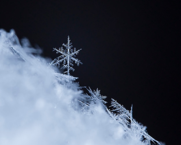 Piccolo fiocco di neve durante una nevicata