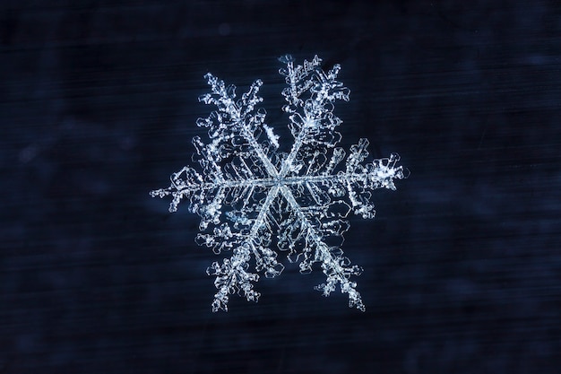 piccolo fiocco di neve durante una nevicata