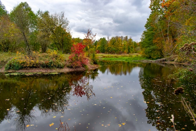 Piccolo fiume circondato dalla foresta con piante colorate in autunno nuvoloso e nebbioso giorno