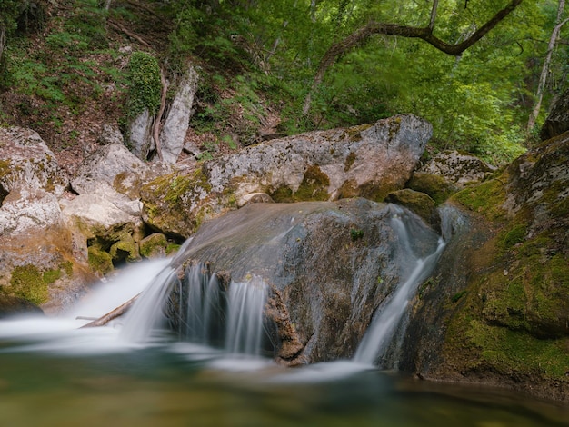 Piccolo fiume immerso nel verde delle foreste