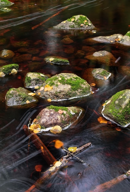 Piccolo fiume (ruscello) nella foresta della Carelia. Acqua rossa, pietre, muschio, primo piano. Paesaggio atmosferico. Natura pura, ambiente, ecologia