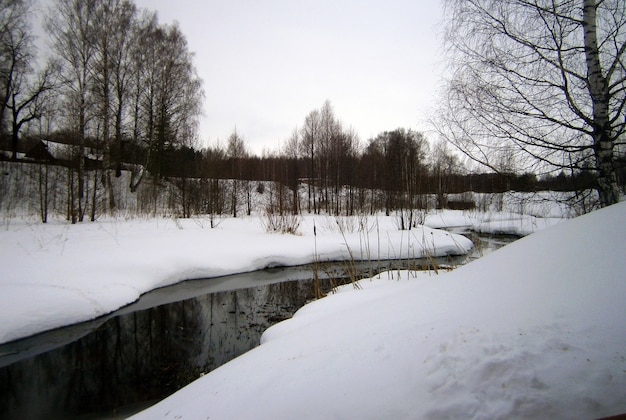 piccolo fiume scongelante nella foresta invernale