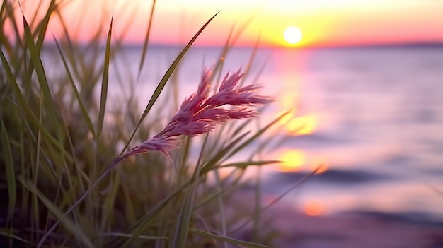 Piccolo gambo d'erba vicino al tramonto sul mare calmo il sole che tramonta sull'orizzonte AI generativa