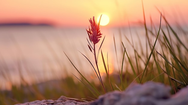 Piccolo gambo d'erba vicino al tramonto sul mare calmo il sole che tramonta sull'orizzonte AI generativa