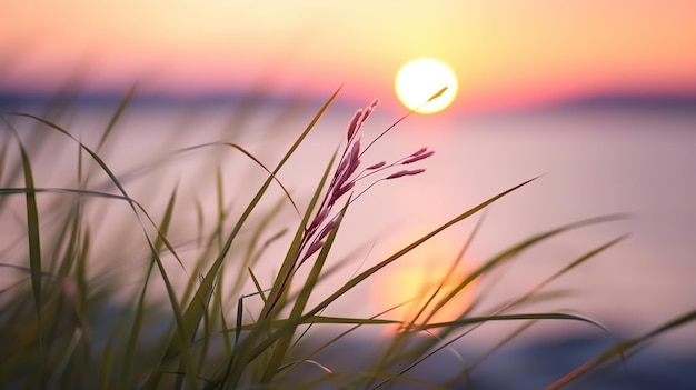 Piccolo gambo d'erba vicino al tramonto sul mare calmo il sole che tramonta sull'orizzonte AI generativa