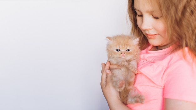 Piccolo gattino domestico persiano sveglio in mano della ragazza