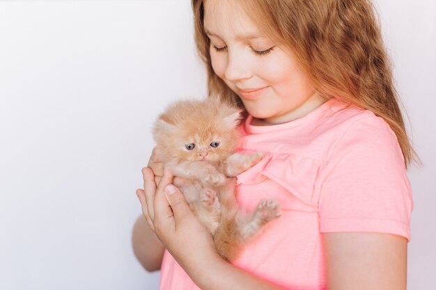 Piccolo gattino domestico persiano sveglio in mano della ragazza