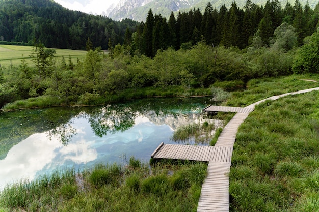 Piccolo laghetto vicino agli alberi nel Parco del Triglav, Slovenia