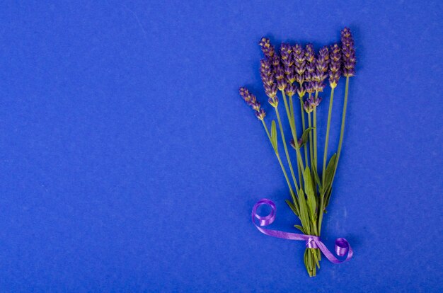 Piccolo mazzo di fiori di lavanda blu. Foto di studio