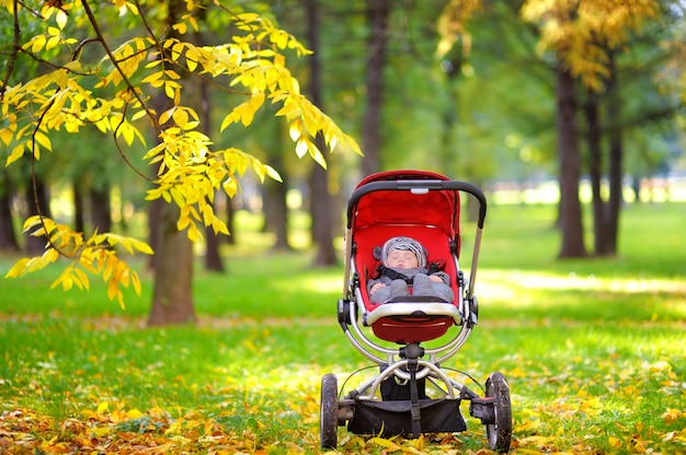 Piccolo neonato dolce che dorme in passeggiatore nel parco di autunno