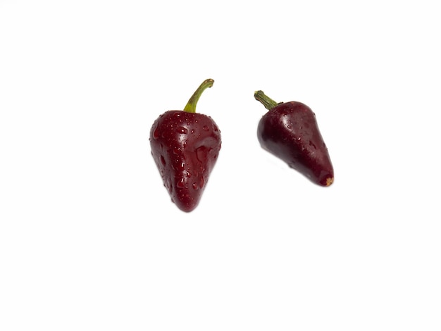 Piccolo peperoncino rosso su sfondo bianco