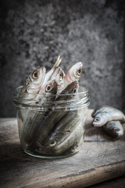 Piccolo pesce placcato in una scena buia.