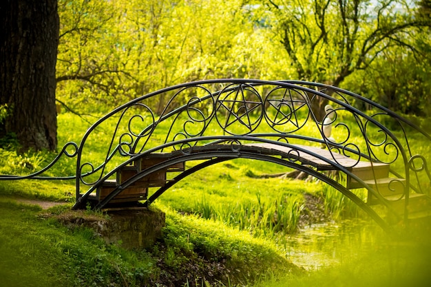 piccolo ponte nero nel parco. vegetazione di alberi, arbusti e cespugli, prato con erba verde.