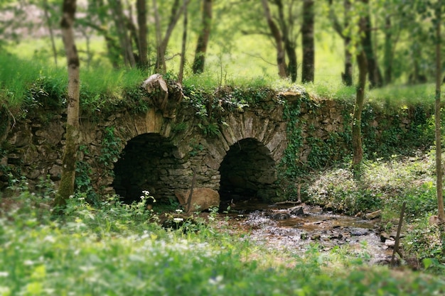 Piccolo ponte su un fiume