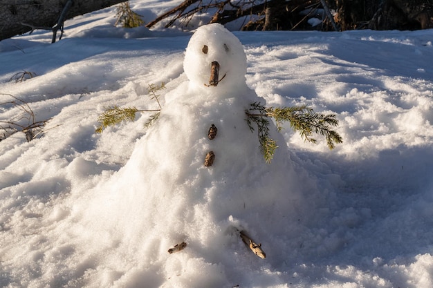 Piccolo pupazzo di neve da vicino