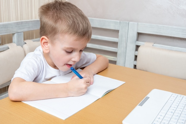 Piccolo ragazzo caucasico concentrato che scrive in taccuino facendo lezione dell'insegnante a casa. Un bambino che tiene una penna e disegna su un taccuino al tavolo. Torna al concetto di scuola.