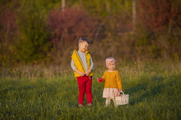 Piccolo ragazzo e ragazza svegli stanno giocando nel giardino d'autunno. Fratello e sorella con mele rosse. Autunno caldo e luminoso.