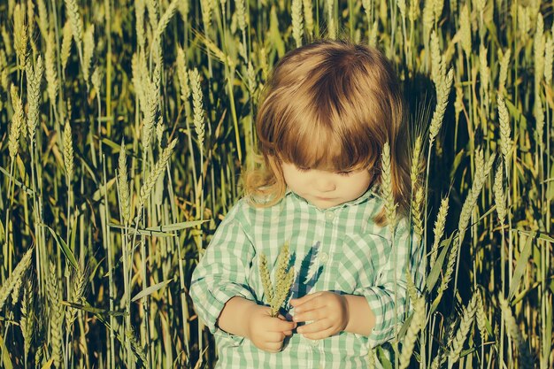 Piccolo ragazzo nel campo verde dell'erba delle spighette