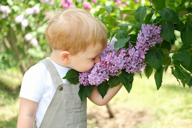 Piccolo ragazzo sveglio dei capelli biondi che gode del cespuglio di fiori lilla in giardino fiorito, primavera. Allergia stagionale del bambino.