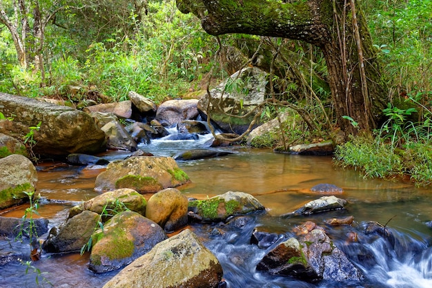 Piccolo ruscello con acque limpide che scorre tra le rocce delle montagne del Minas Gerais