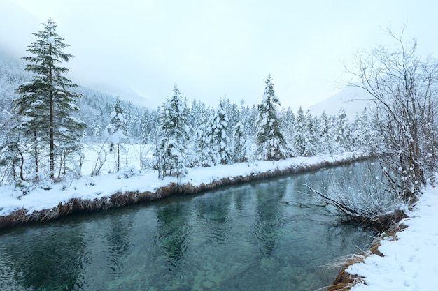 Piccolo ruscello invernale con alberi innevati sulla banca.