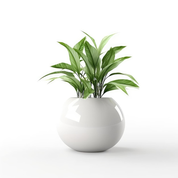 Piccolo vaso con pianta verde su sfondo bianco