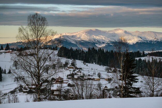 Piccolo villaggio alpino e montagne innevate invernali alla prima luce solare dell'alba intorno a Voronenko Carpazi Ucraina