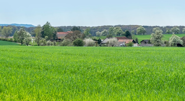 piccolo villaggio rurale