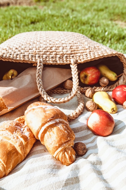 Picnic allo spazio della copia della giornata di sole autunnale della spiaggia del fiume